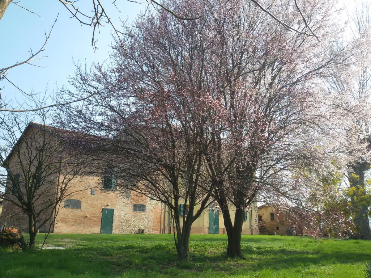 Il Boschetto Di Morgana Bed & Breakfast Castel San Pietro Terme Eksteriør bilde