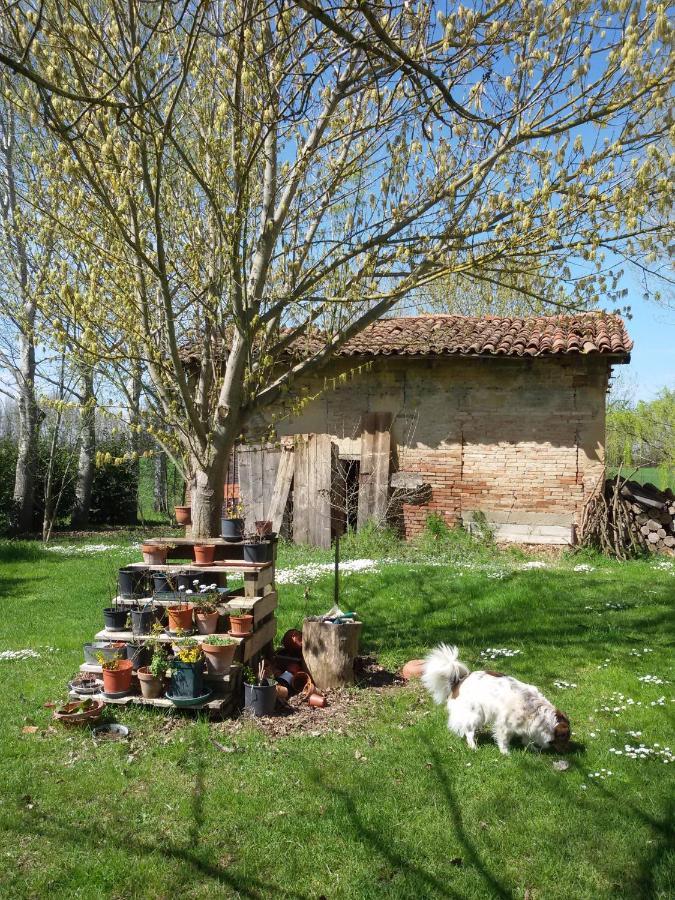 Il Boschetto Di Morgana Bed & Breakfast Castel San Pietro Terme Eksteriør bilde