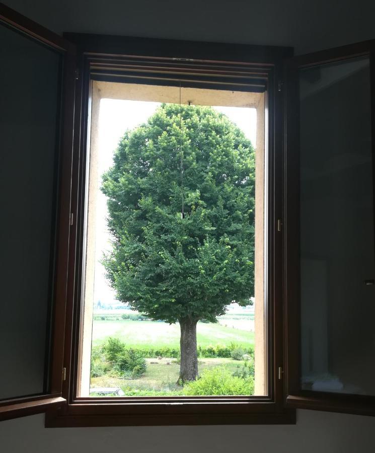 Il Boschetto Di Morgana Bed & Breakfast Castel San Pietro Terme Eksteriør bilde