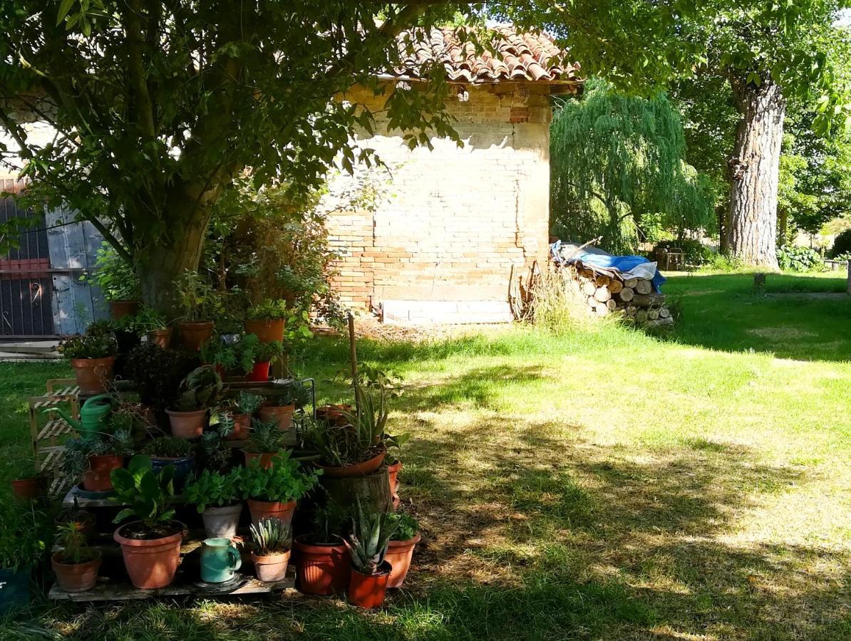 Il Boschetto Di Morgana Bed & Breakfast Castel San Pietro Terme Eksteriør bilde
