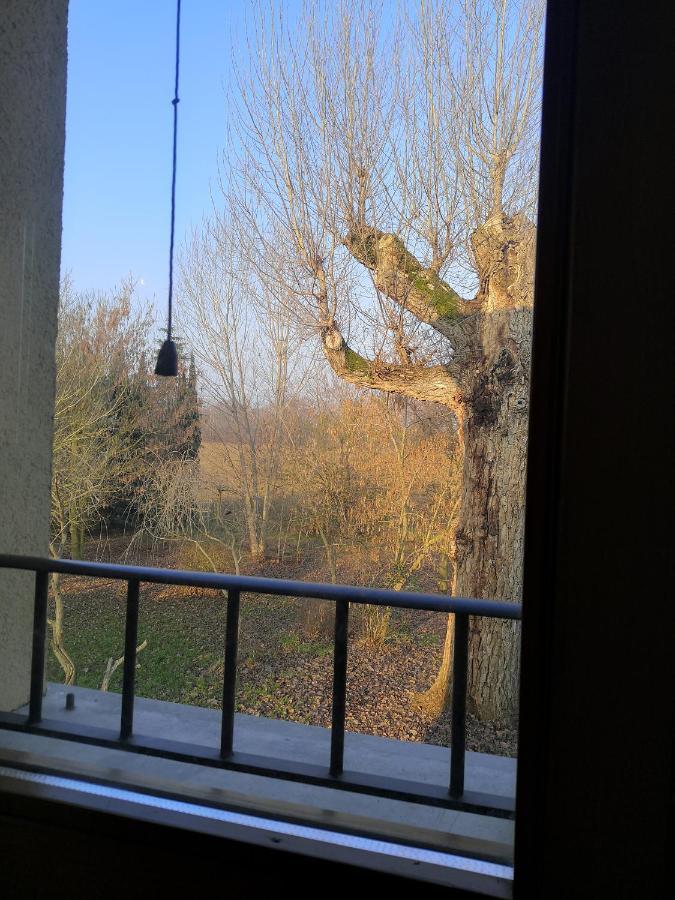 Il Boschetto Di Morgana Bed & Breakfast Castel San Pietro Terme Eksteriør bilde